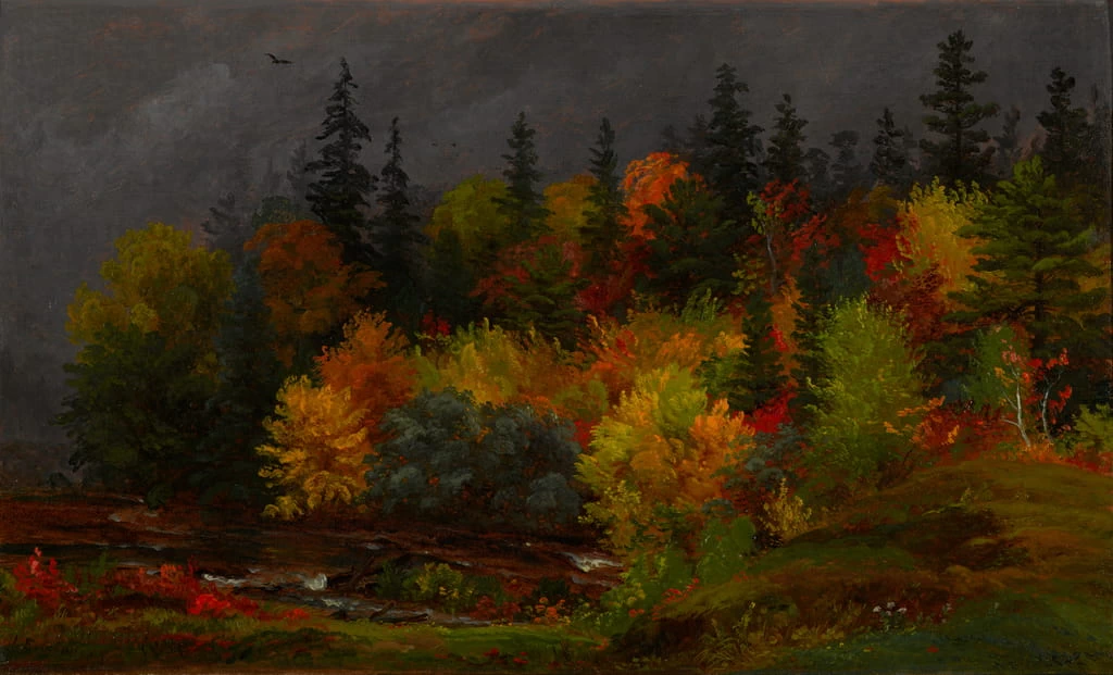 Fogliame autunnale - North Carolina Museum of Art, Raleigh